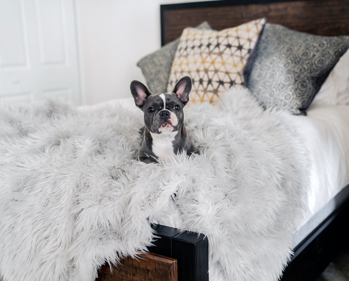 PupProtector™ Waterproof Throw Blanket - Grey
