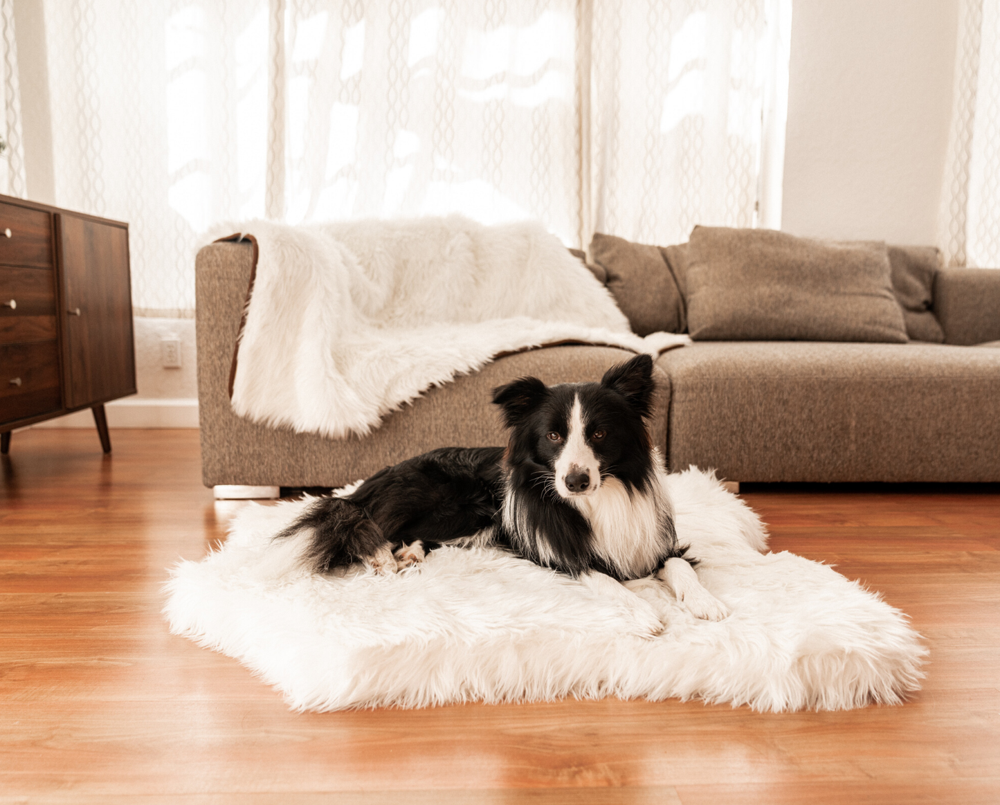 PupRug™ Junior Bundle - Memory Foam Bed, Polar Bear Faux Hide & Matching Waterproof Blanket