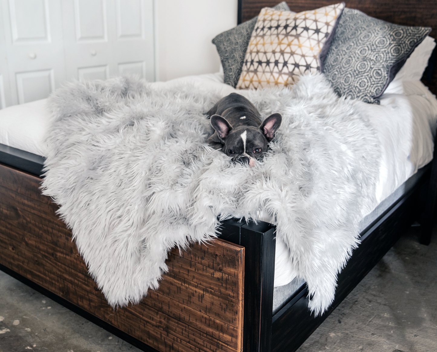 PupProtector™ Waterproof Throw Blanket - Grey