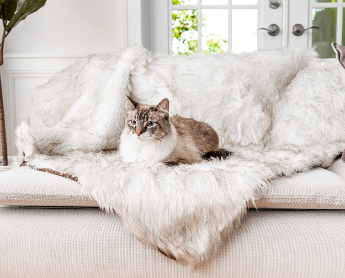 CatNap™ Bundle - Orthopedic Bed, White + Matching Waterproof Blanket