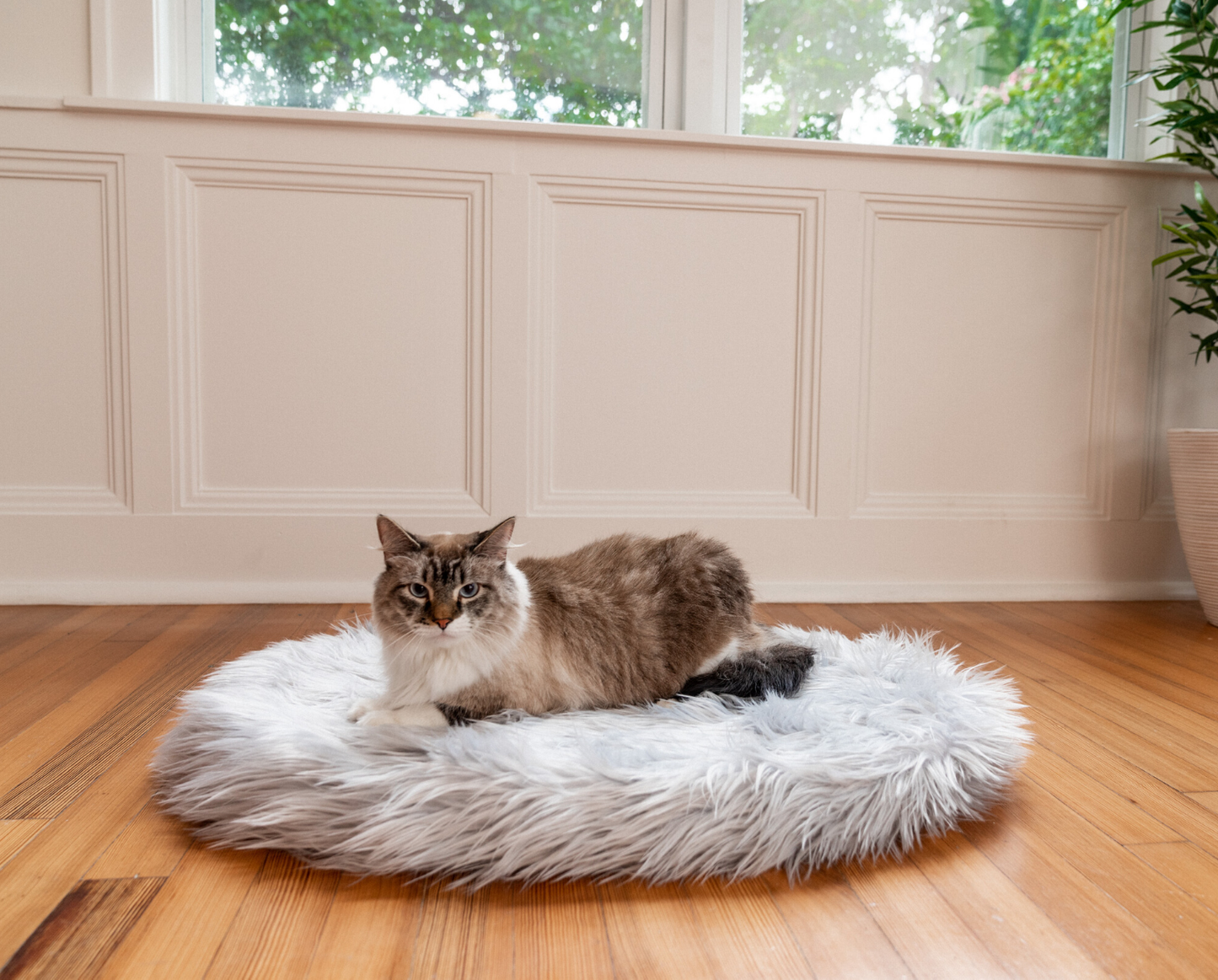 CatNap™ Bundle - Orthopedic Bed, Grey + Matching Waterproof Blanket