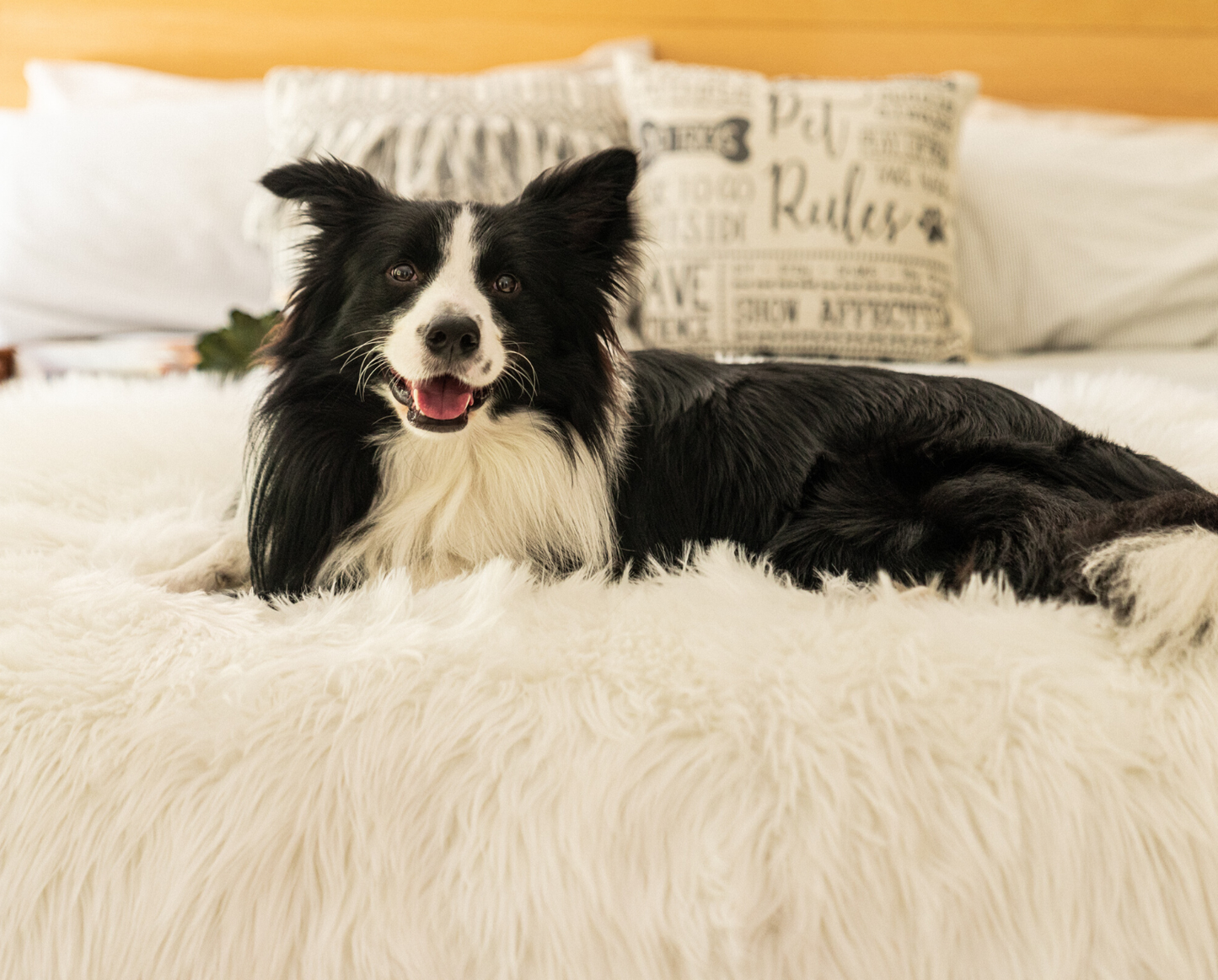 PupProtector™ Waterproof Throw Blanket - Polar White