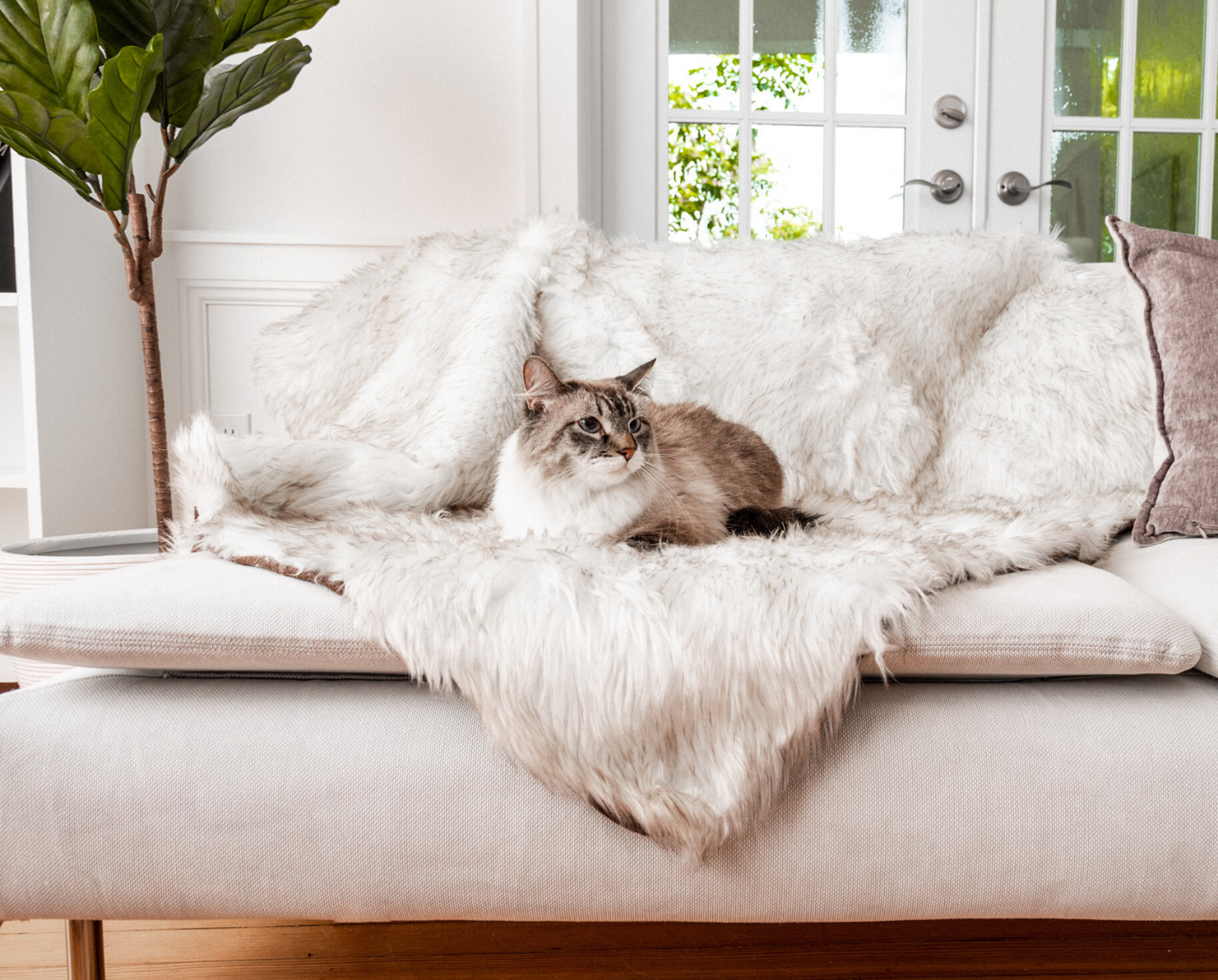 CatNap™ Anti-Scratch & Waterproof Throw Blanket - White