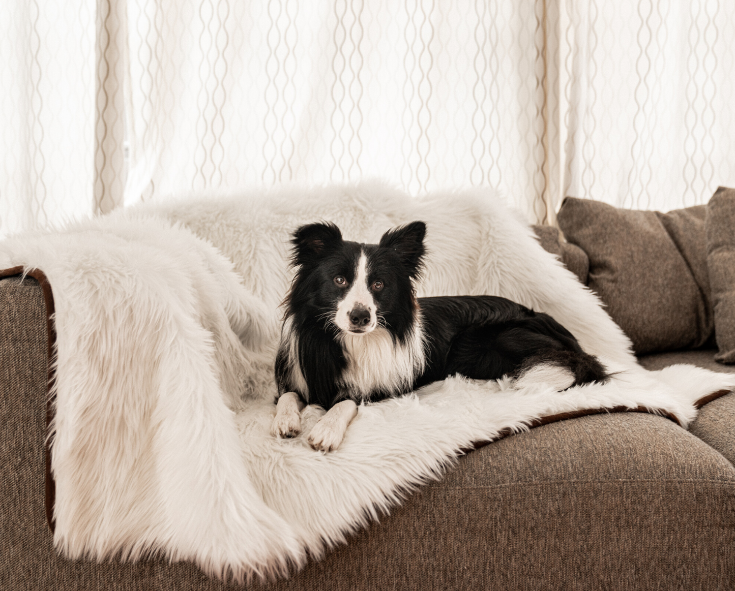 PupProtector™ Waterproof Throw Blanket - Polar White