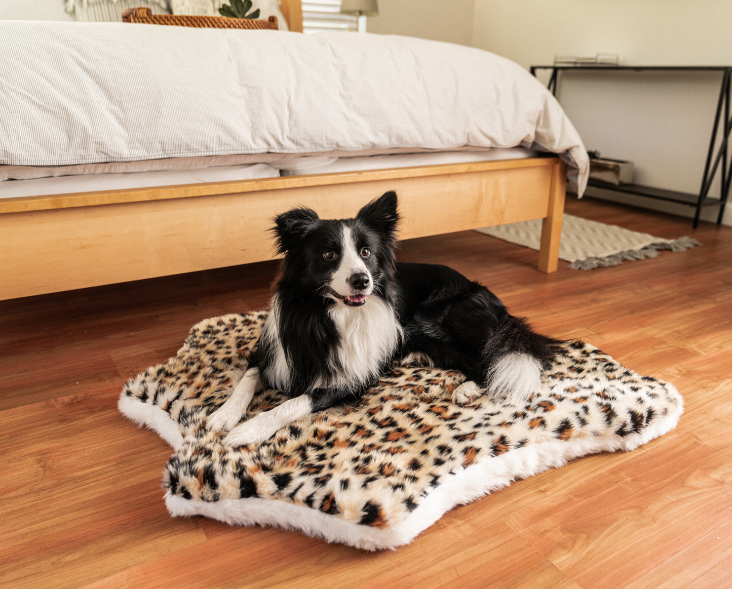 PupRug™ Junior Bundle - Memory Foam Bed, Cheetah Faux Print & Matching Waterproof Blanket