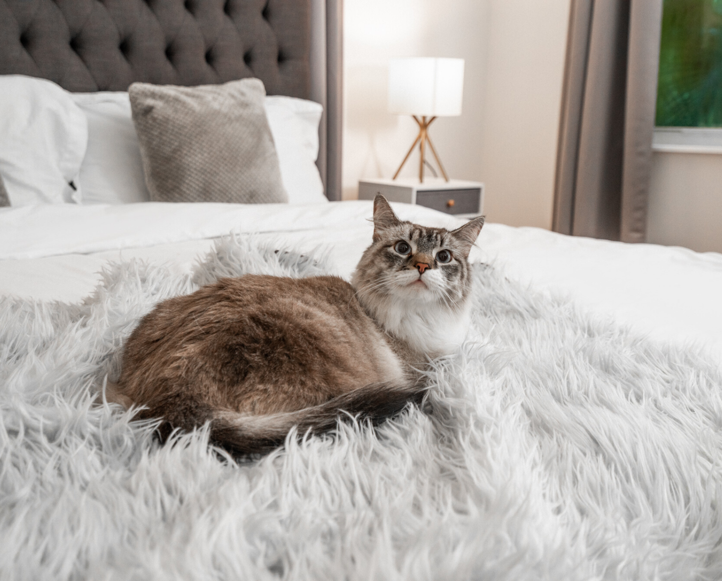 CatNap™ Anti-Scratch & Waterproof Throw Blanket - Grey