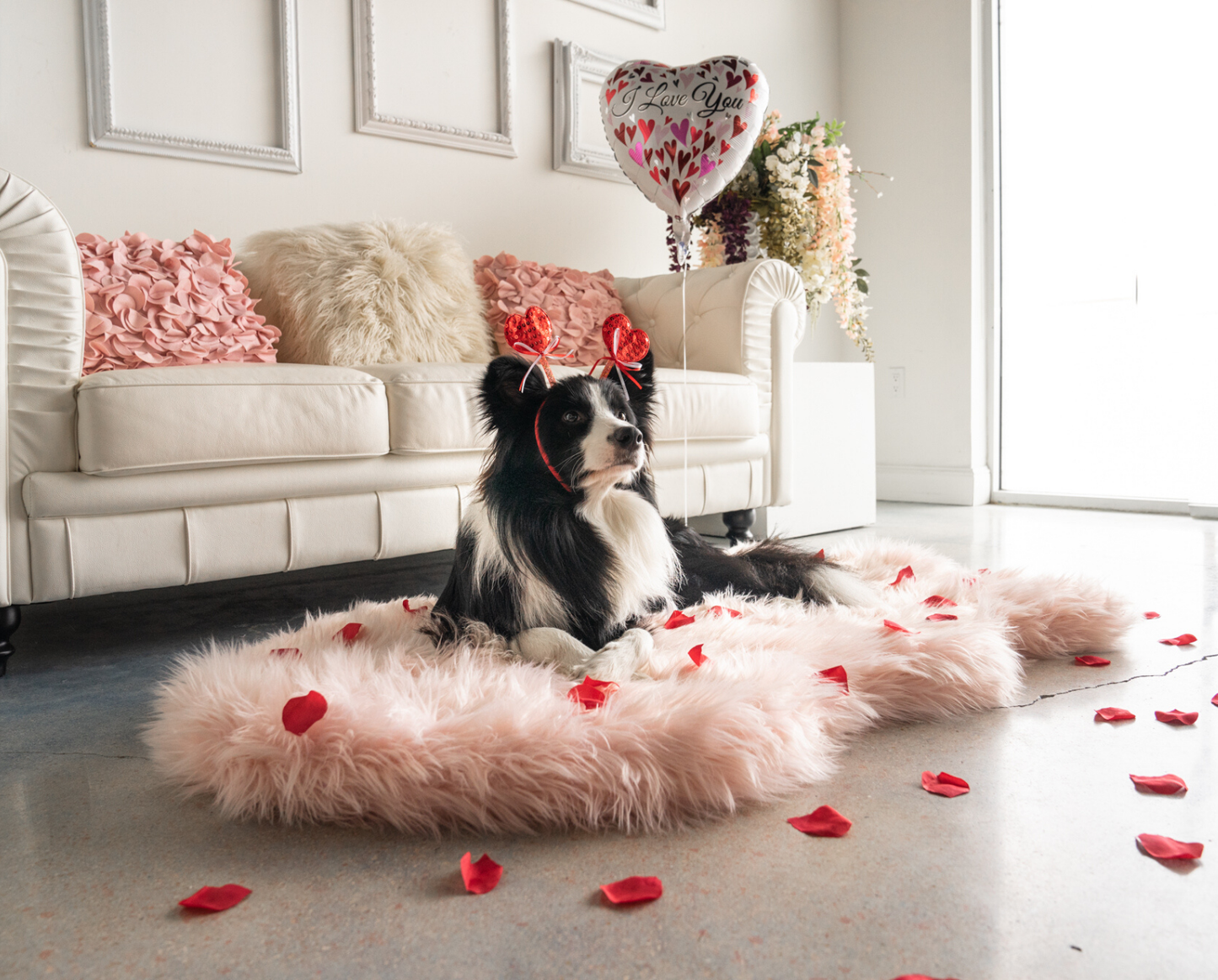PupRug™ Faux Fur Orthopedic Dog Bed - Curve Blush Pink