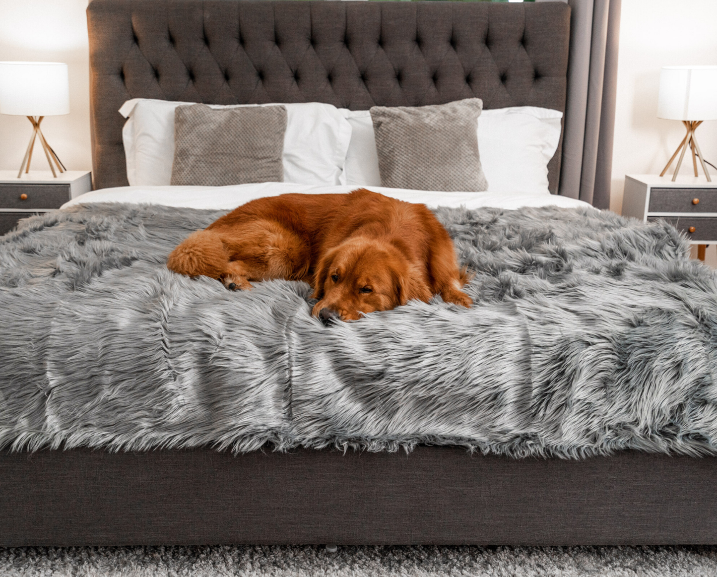 PupProtector™ Waterproof Throw Blanket - Charcoal Grey
