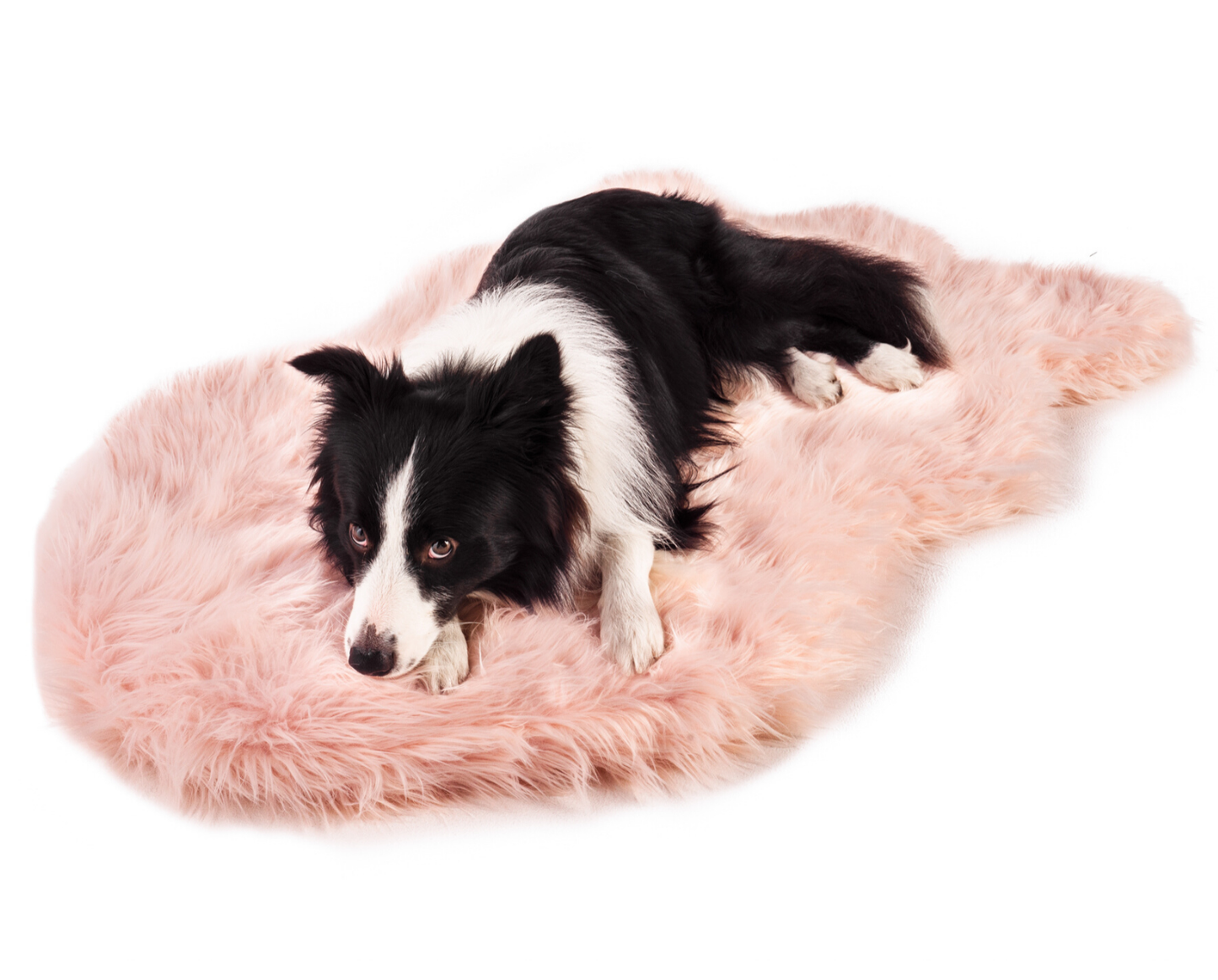 PupRug™ Faux Fur Orthopedic Dog Bed - Curve Blush Pink