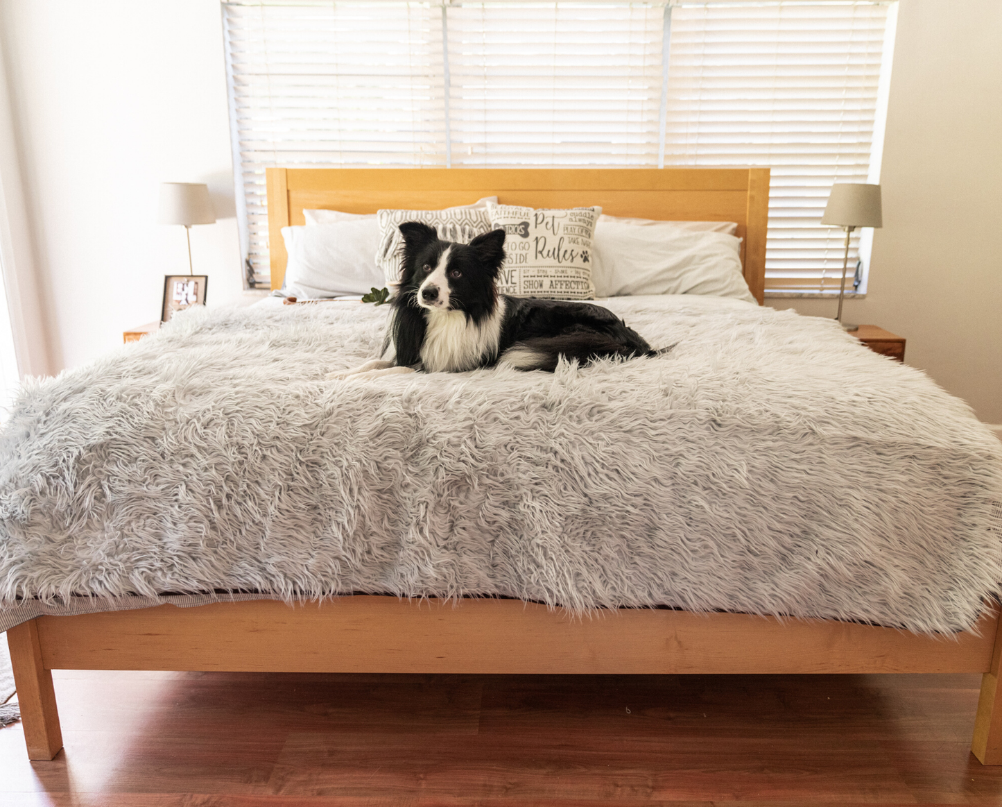 PupProtector™ Waterproof Throw Blanket - Grey