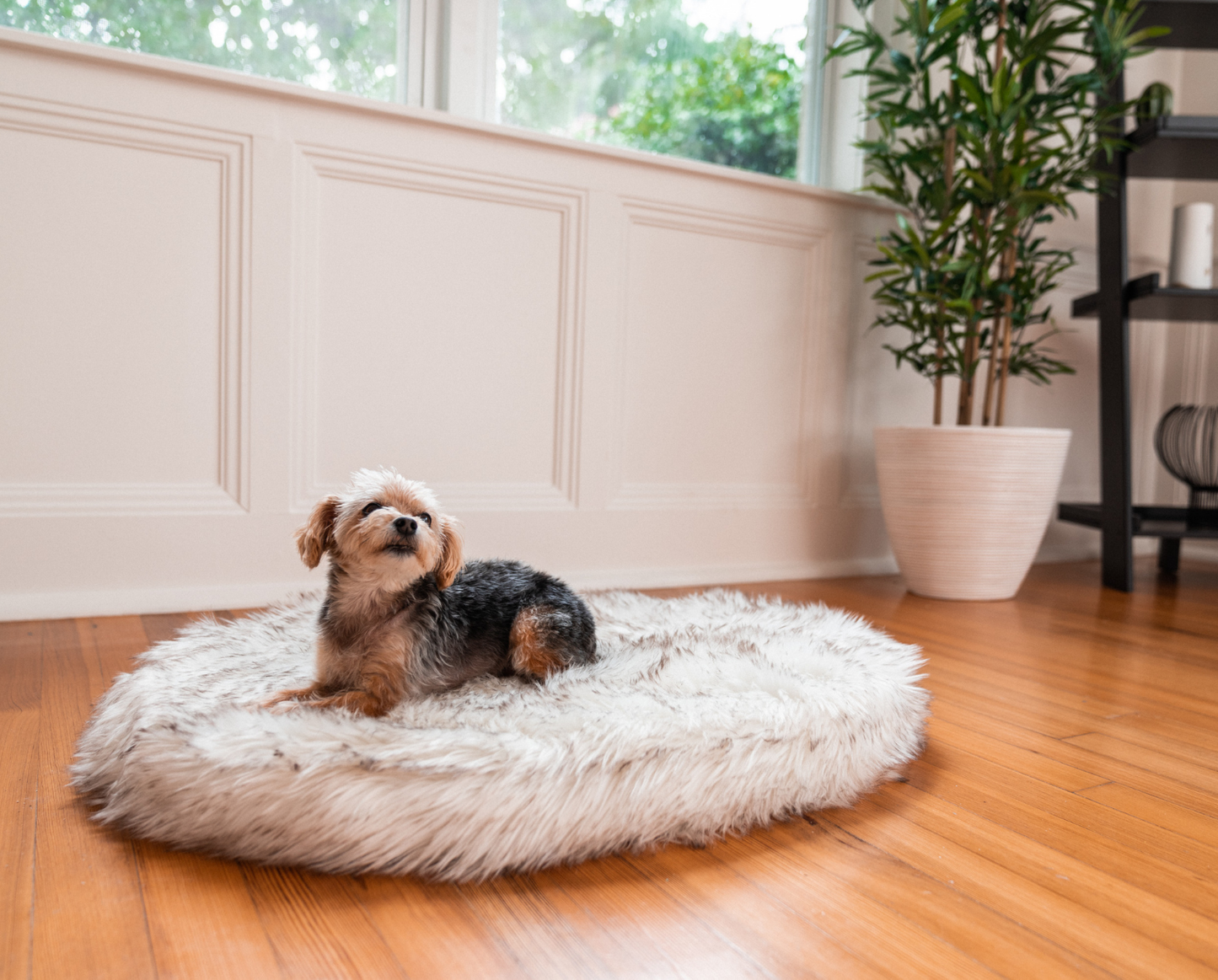PupRug™ Mini Faux Fur Orthopedic Dog Bed Cover - White (Bed Not Included)