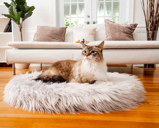 CatNap™ Faux Fur Orthopedic Bed - Grey