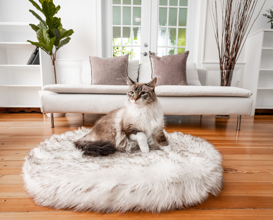 CatNap™ Faux Fur Orthopedic Bed - White
