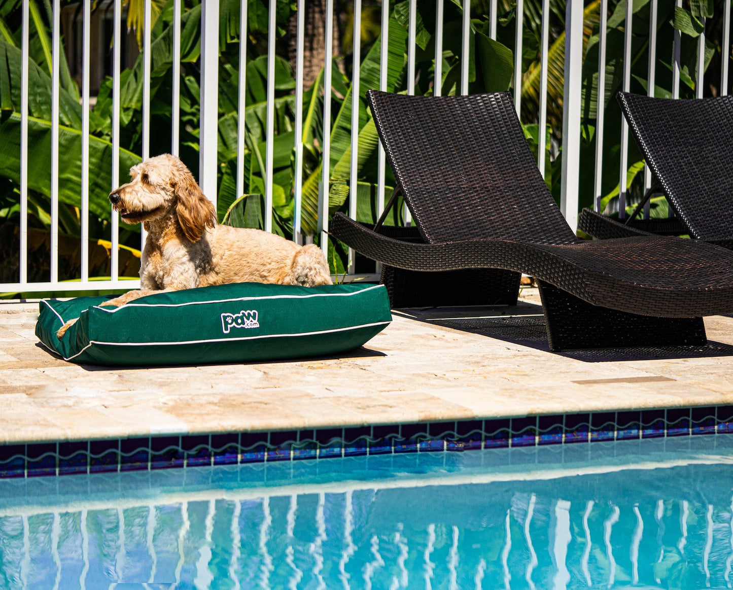 PupLounge™ All-Season Indoor/Outdoor Memory Foam Bed - Forest Green