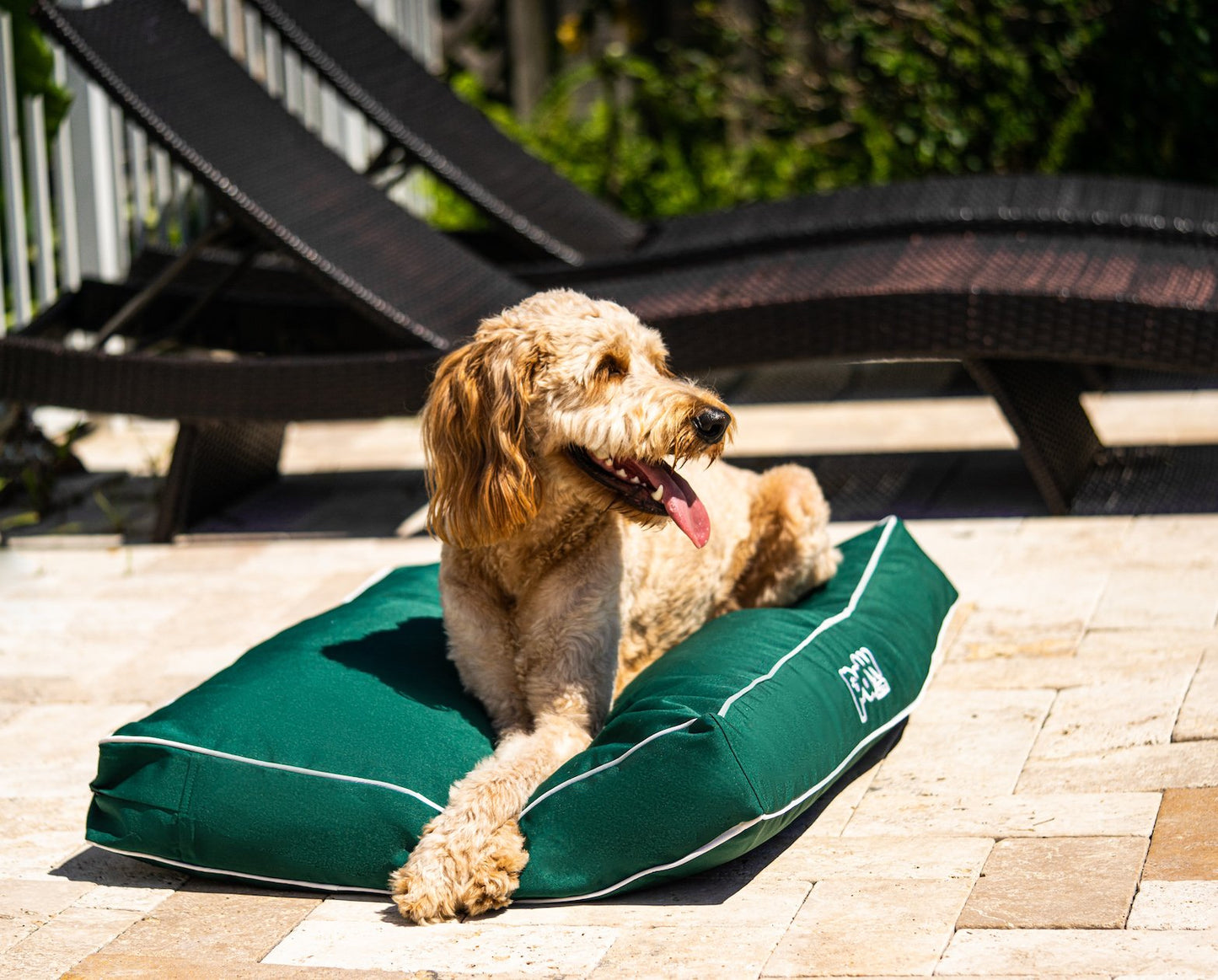 PupLounge™ All-Season Indoor/Outdoor Memory Foam Bed - Forest Green