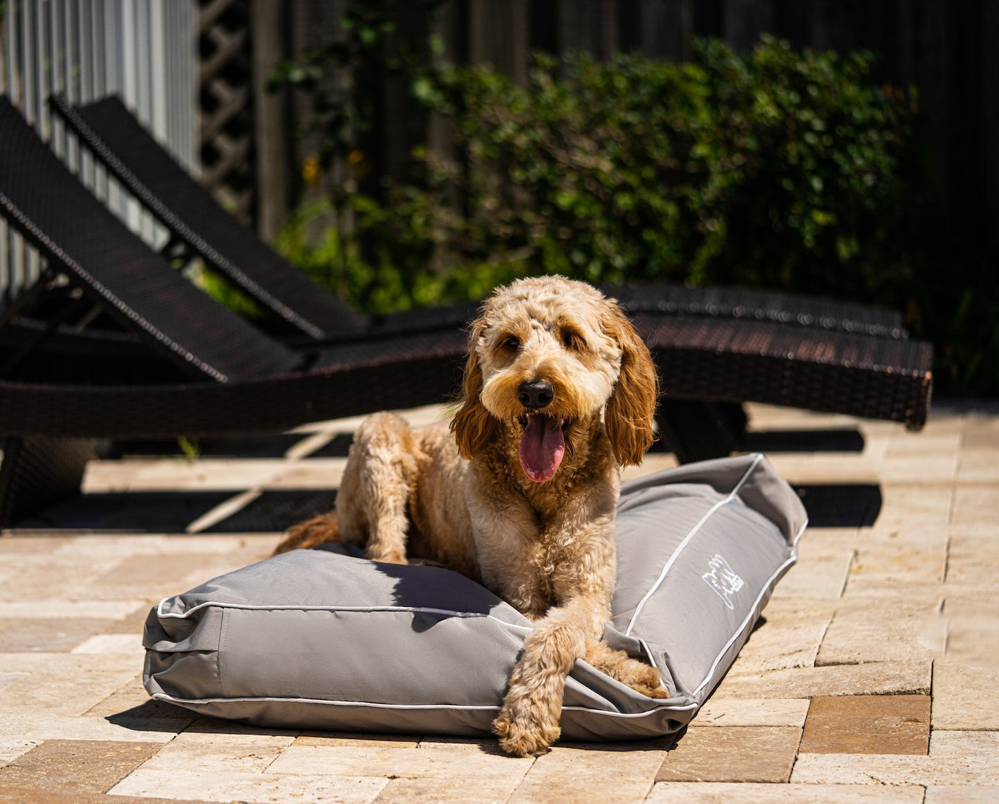 PupLounge™ All-Season Indoor/Outdoor Memory Foam Bed - Grey