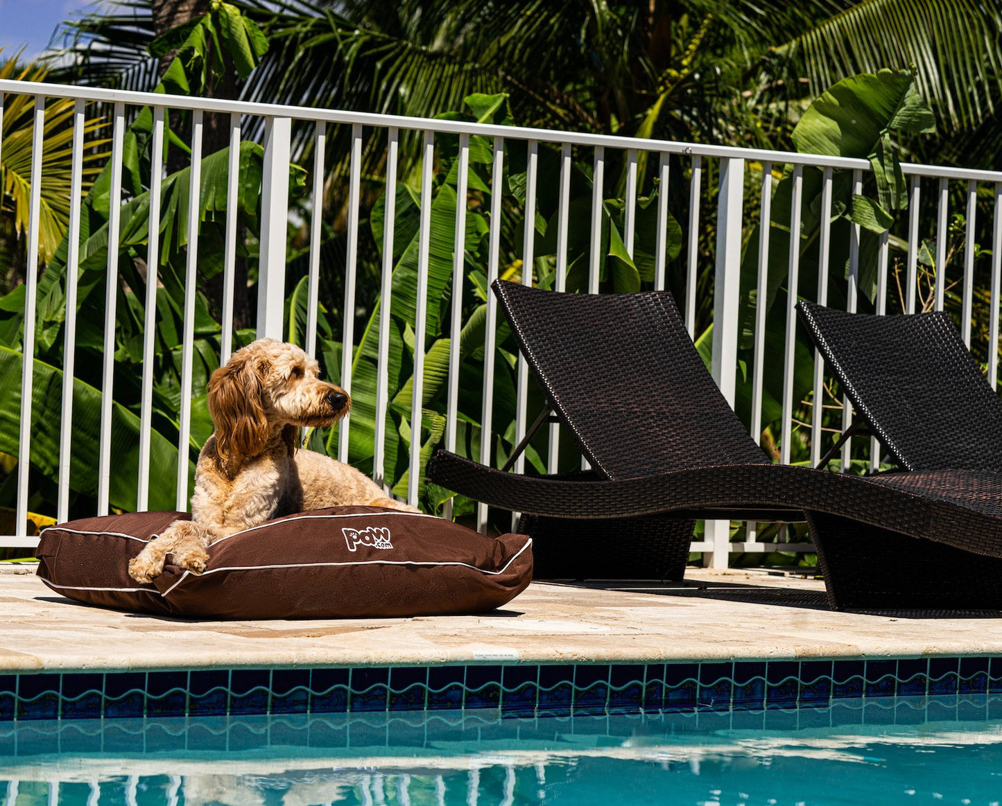 PupLounge™ All-Season Indoor/Outdoor Memory Foam Bed - Brown