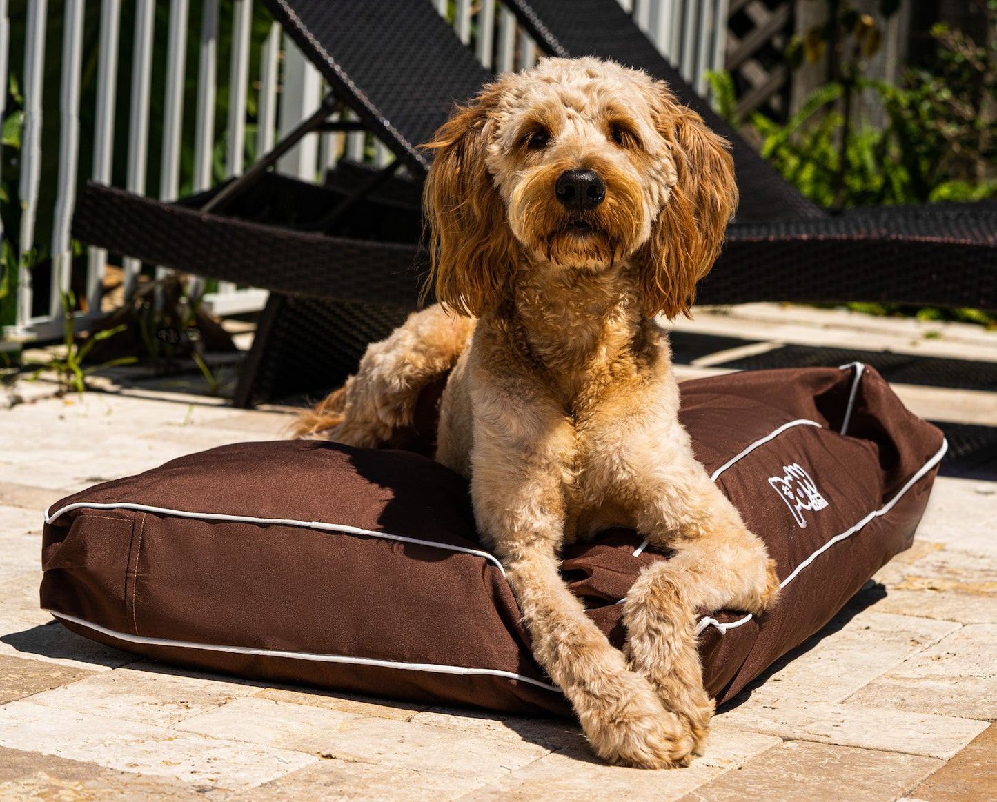 PupLounge™ All-Season Indoor/Outdoor Memory Foam Bed - Brown