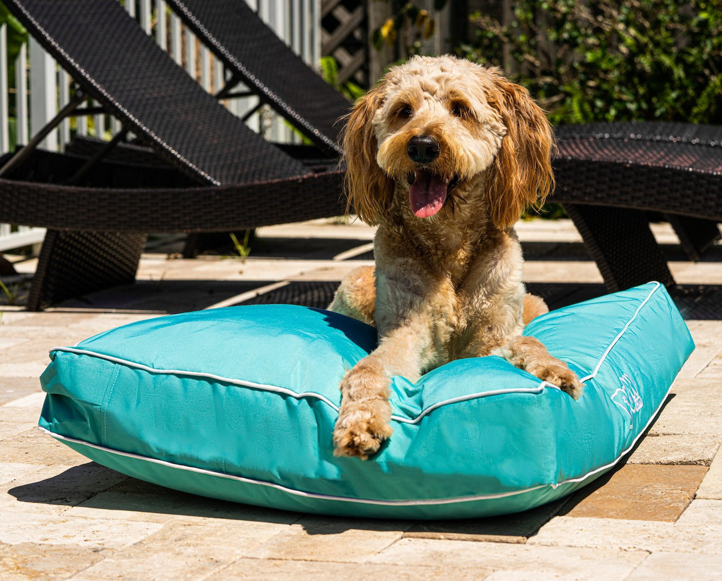PupLounge™ All-Season Indoor/Outdoor Memory Foam Bed - Aqua Blue
