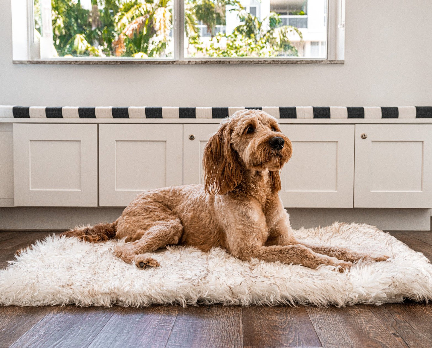 PupRug™ Portable Orthopedic Dog Bed - White