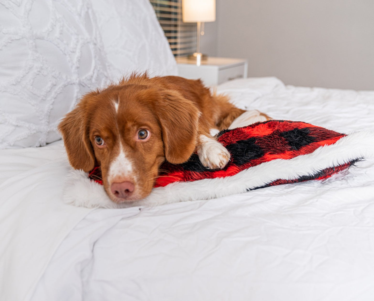 PupPillow™ Winter Plaid Memory Foam Pillow