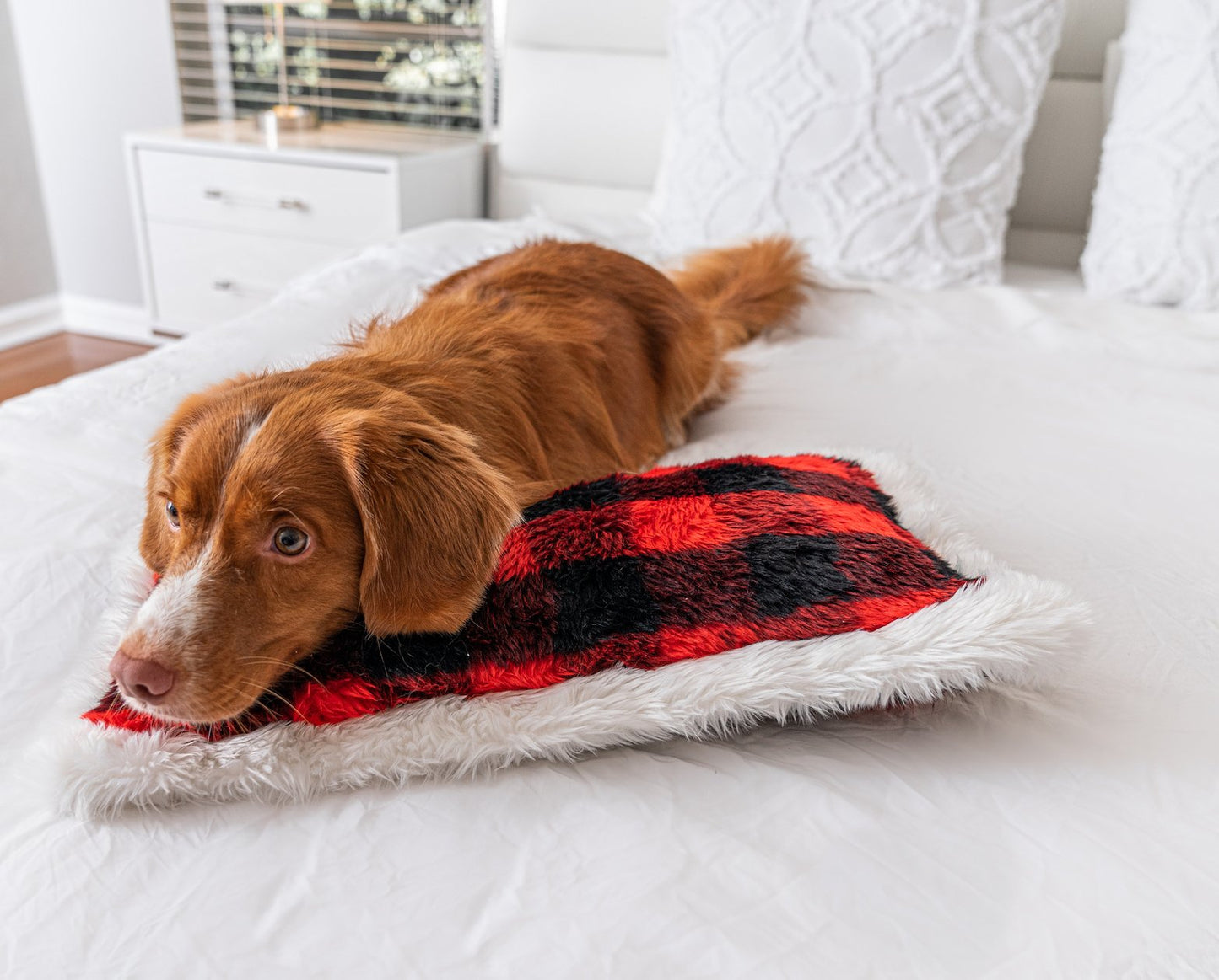 PupPillow™ Winter Plaid Memory Foam Pillow