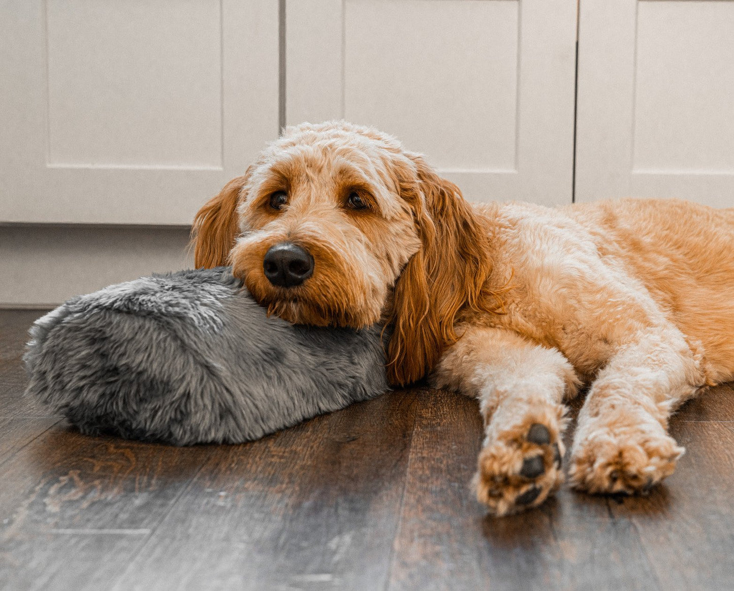PupPillow™ Memory Foam Orthopedic Bolster Pillow