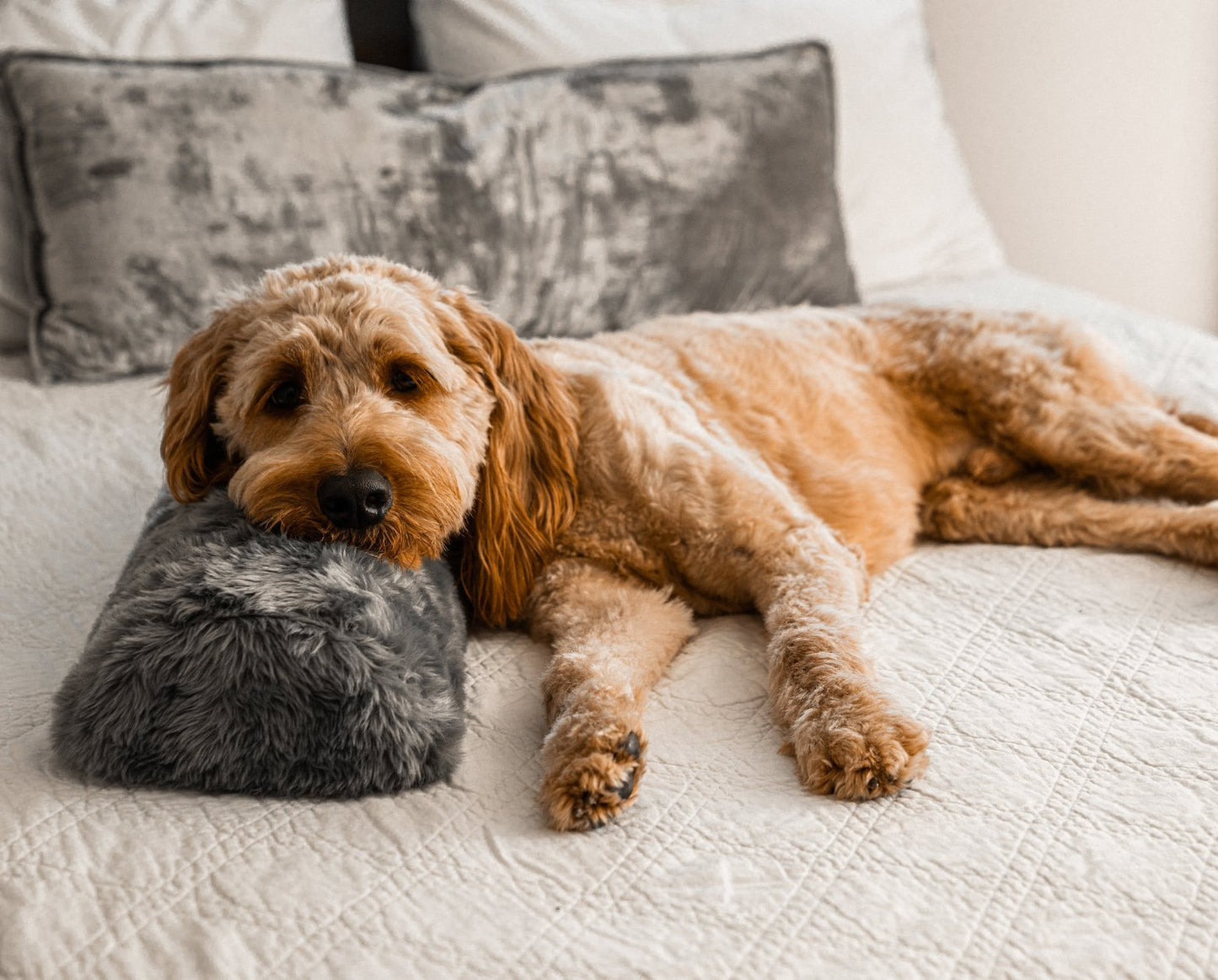 PupPillow™ Memory Foam Orthopedic Bolster Pillow