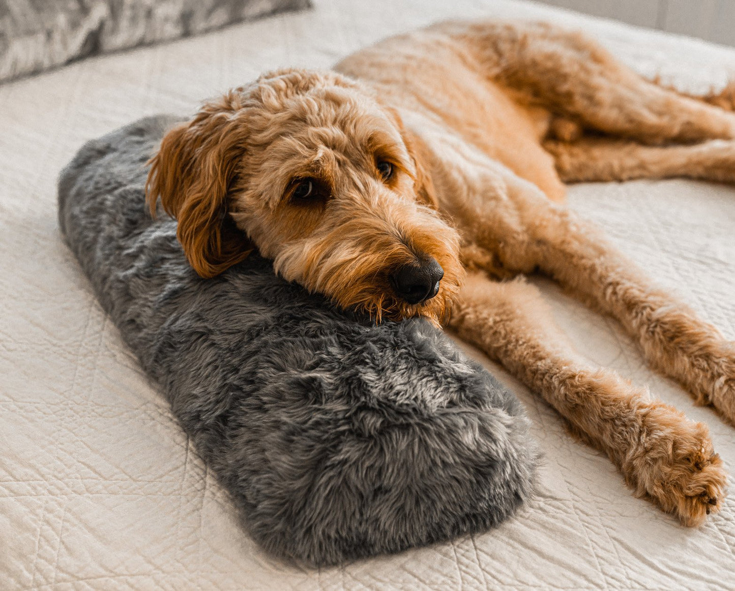 PupPillow™ Memory Foam Orthopedic Bolster Pillow