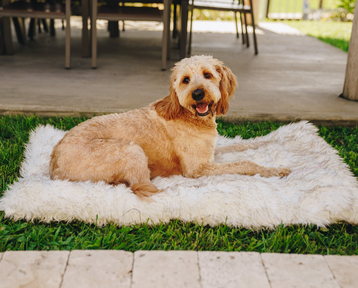 PupRug™ Portable Orthopedic Dog Bed - White