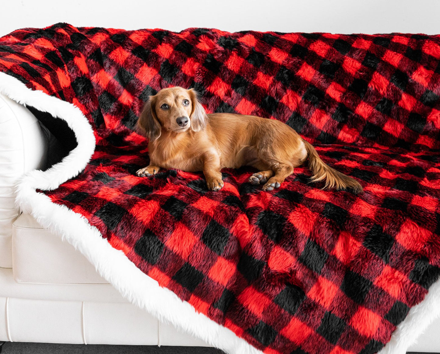 PupProtector™ Waterproof Throw Blanket - Winter Plaid
