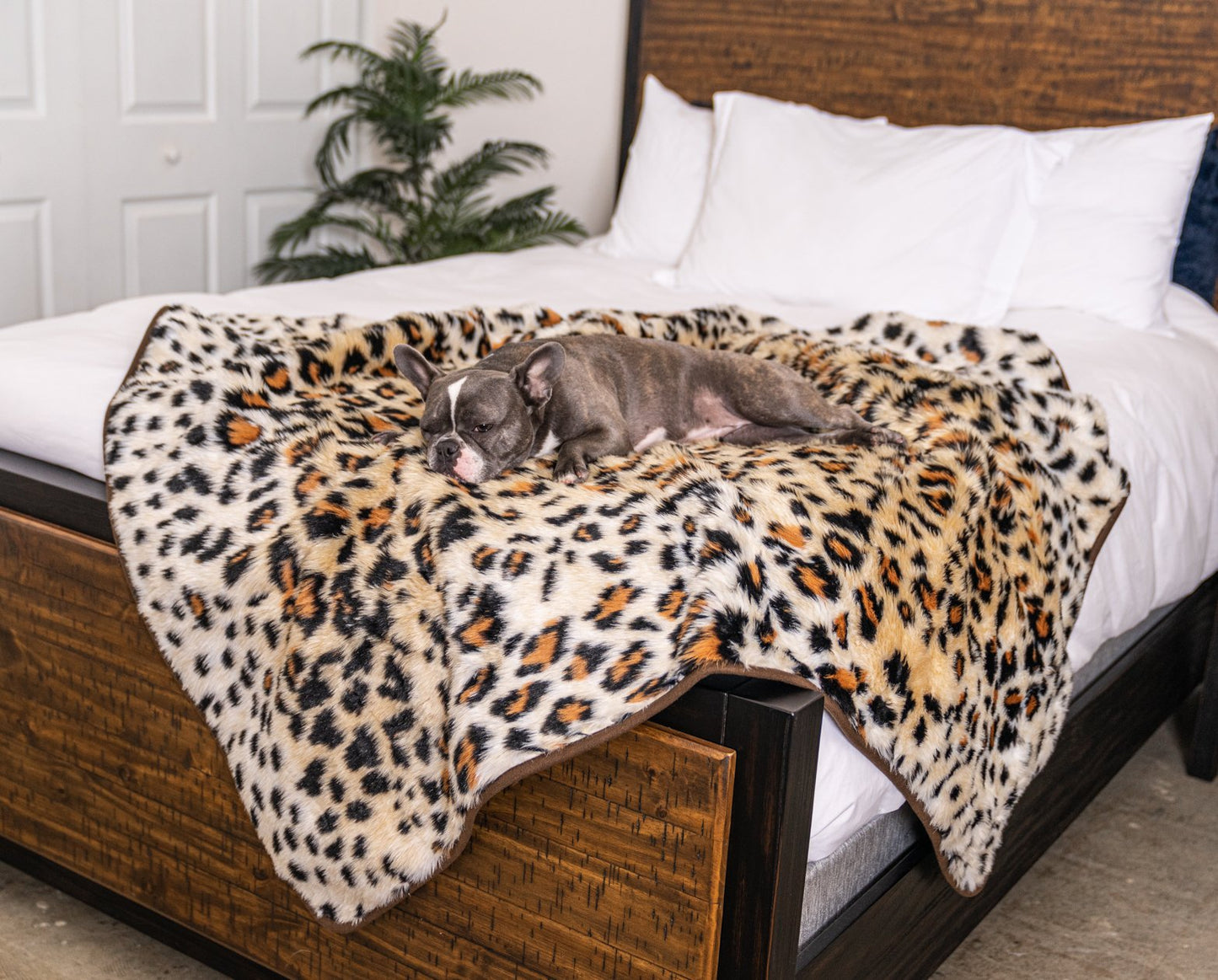 PupProtector™ Waterproof Throw Blanket - Cheetah Faux Print