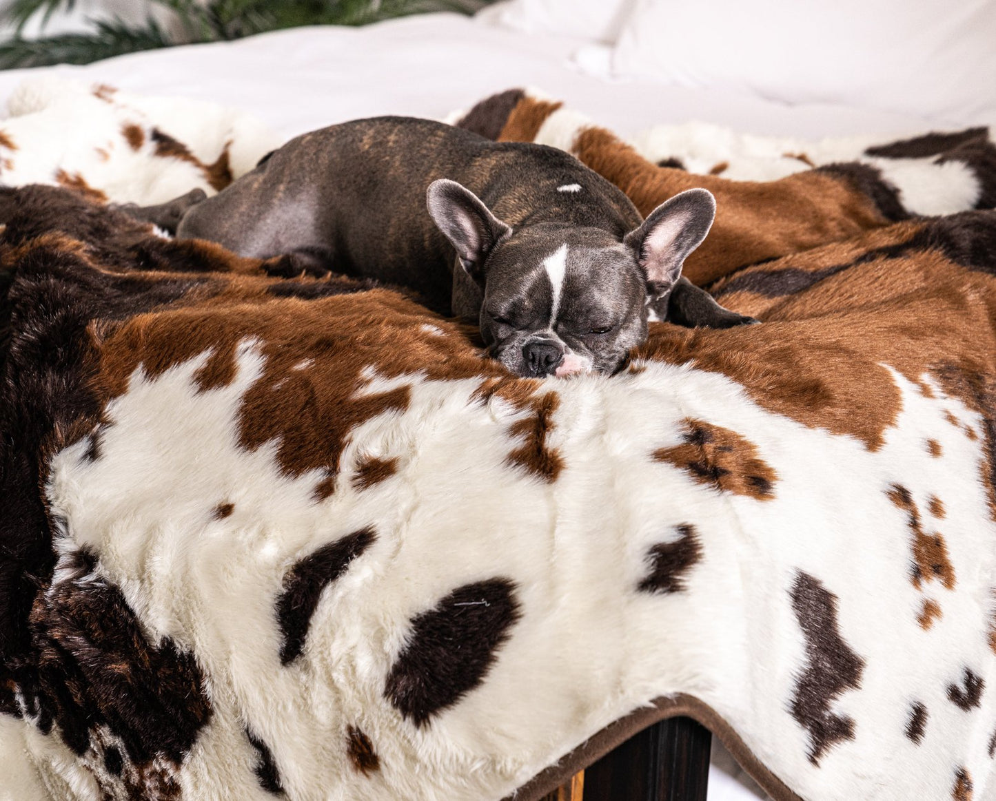 PupProtector™ Waterproof Throw Blanket - Brown Faux Cowhide