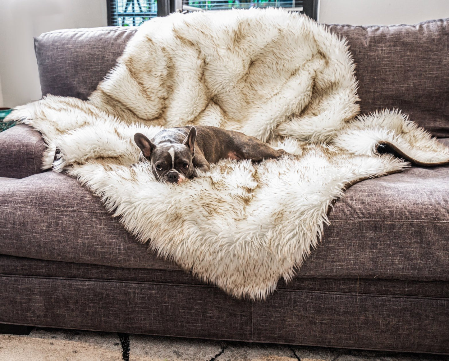 PupRug™ Bundle - Orthopedic Bed Curve, White + Matching Waterproof Blanket