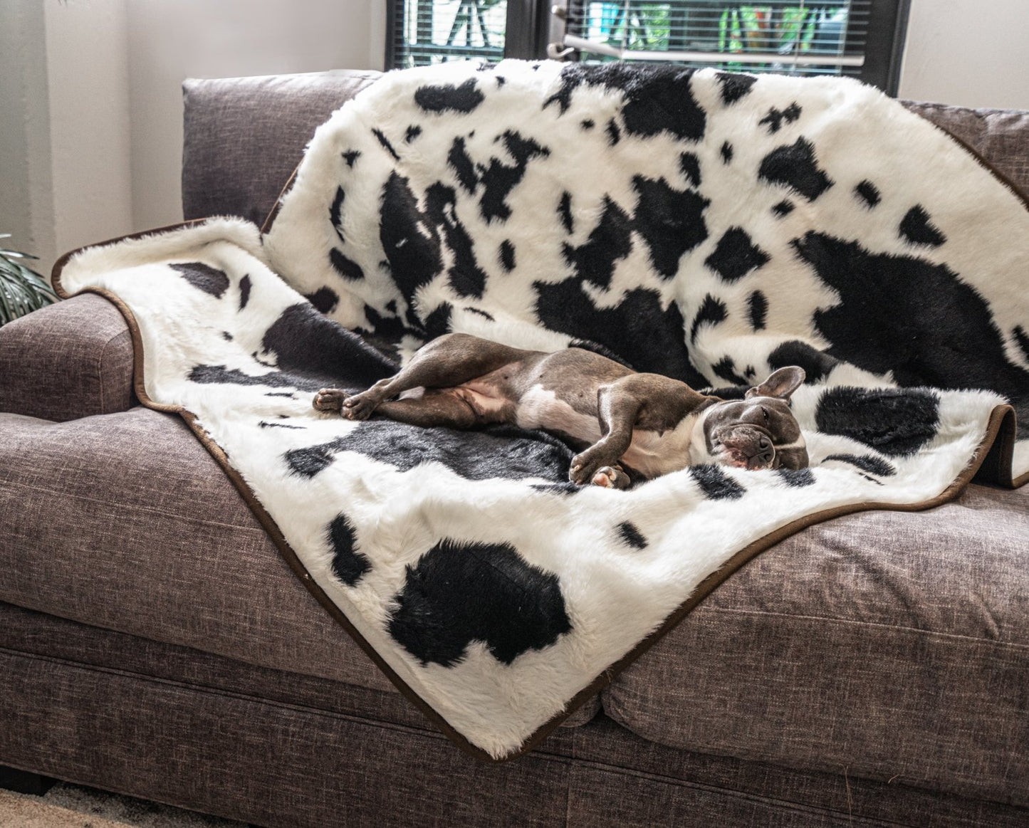 PupProtector™ Waterproof Throw Blanket - Black Faux Cowhide