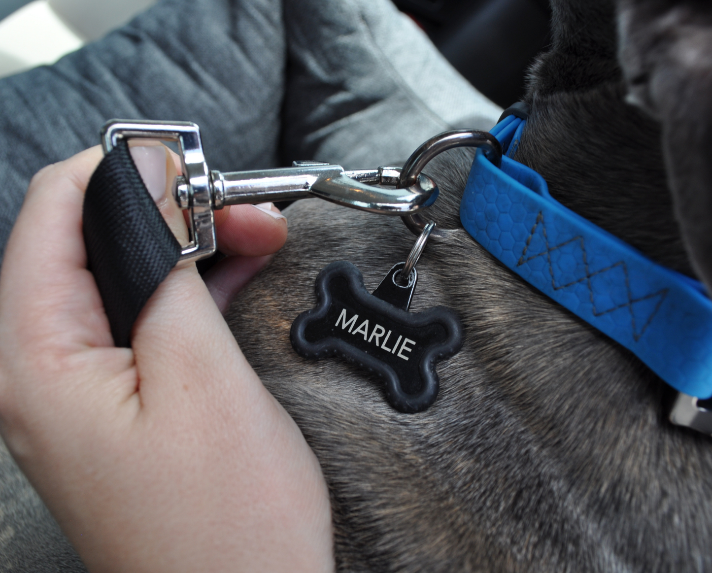 PupProtector™ Single Seat Memory Foam Car Bed