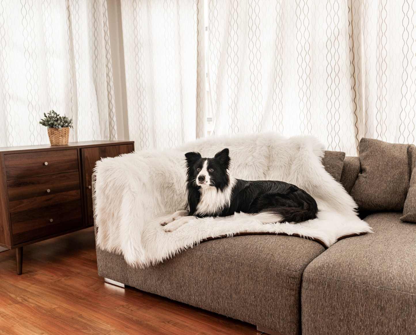 PupRug™ Bundle - Memory Foam Bed, Polar Bear Faux Hide & Matching Waterproof Blanket