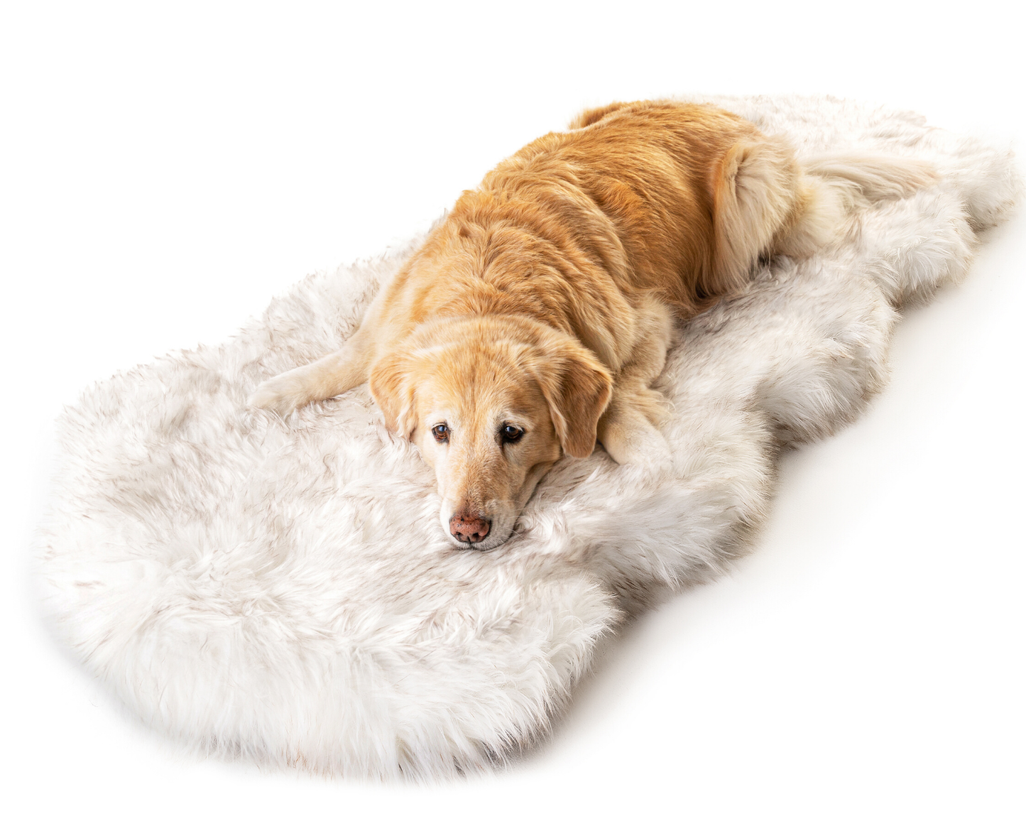 PupRug™ Runner Faux Fur Memory Foam Dog Bed - Curve White