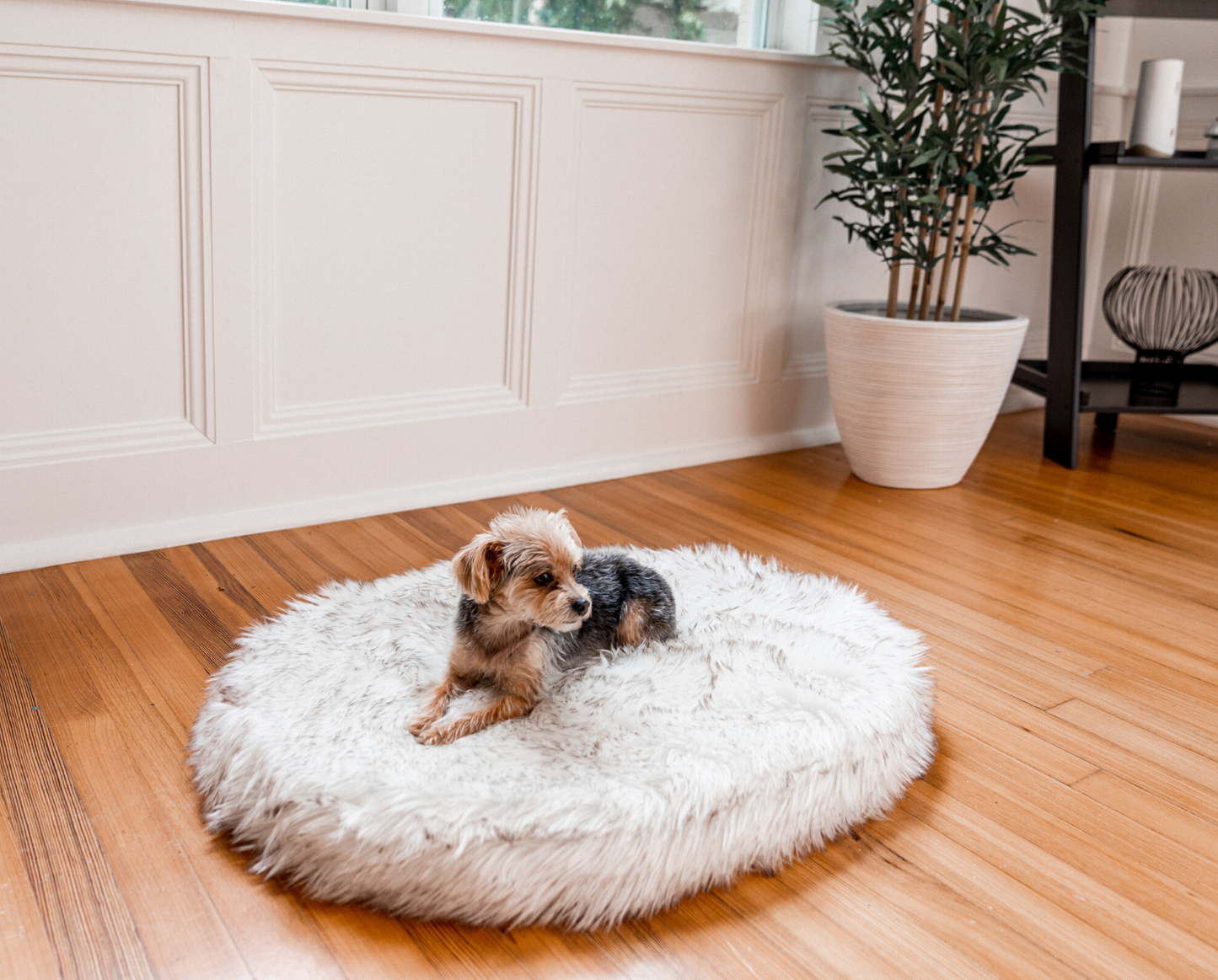 PupRug™ Mini Faux Fur Orthopedic Dog Bed - White