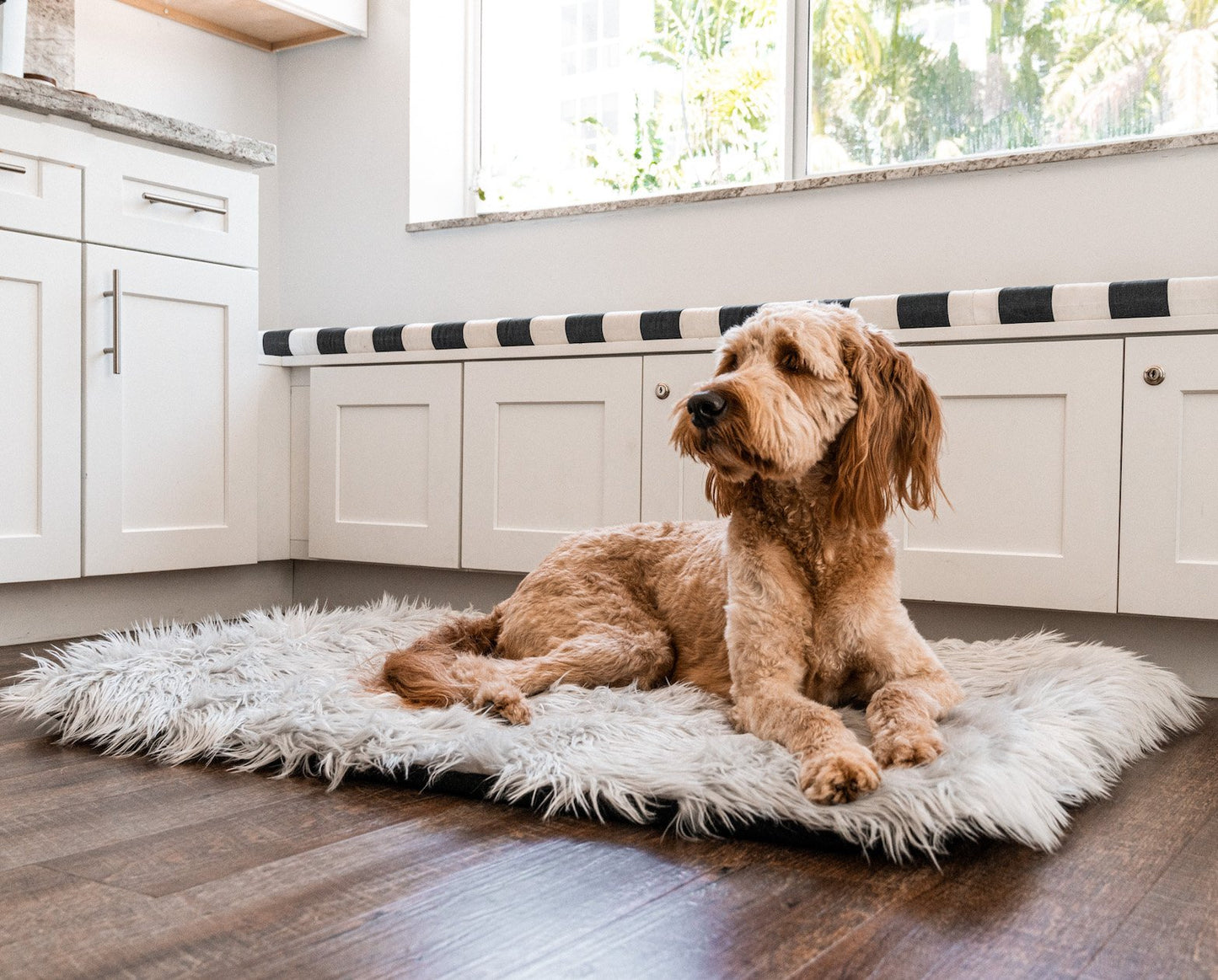 PupRug™ Portable Orthopedic Dog Bed - Grey