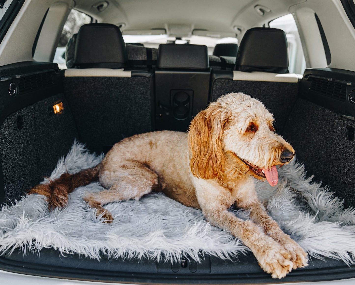 PupRug™ Portable Orthopedic Dog Bed - Grey