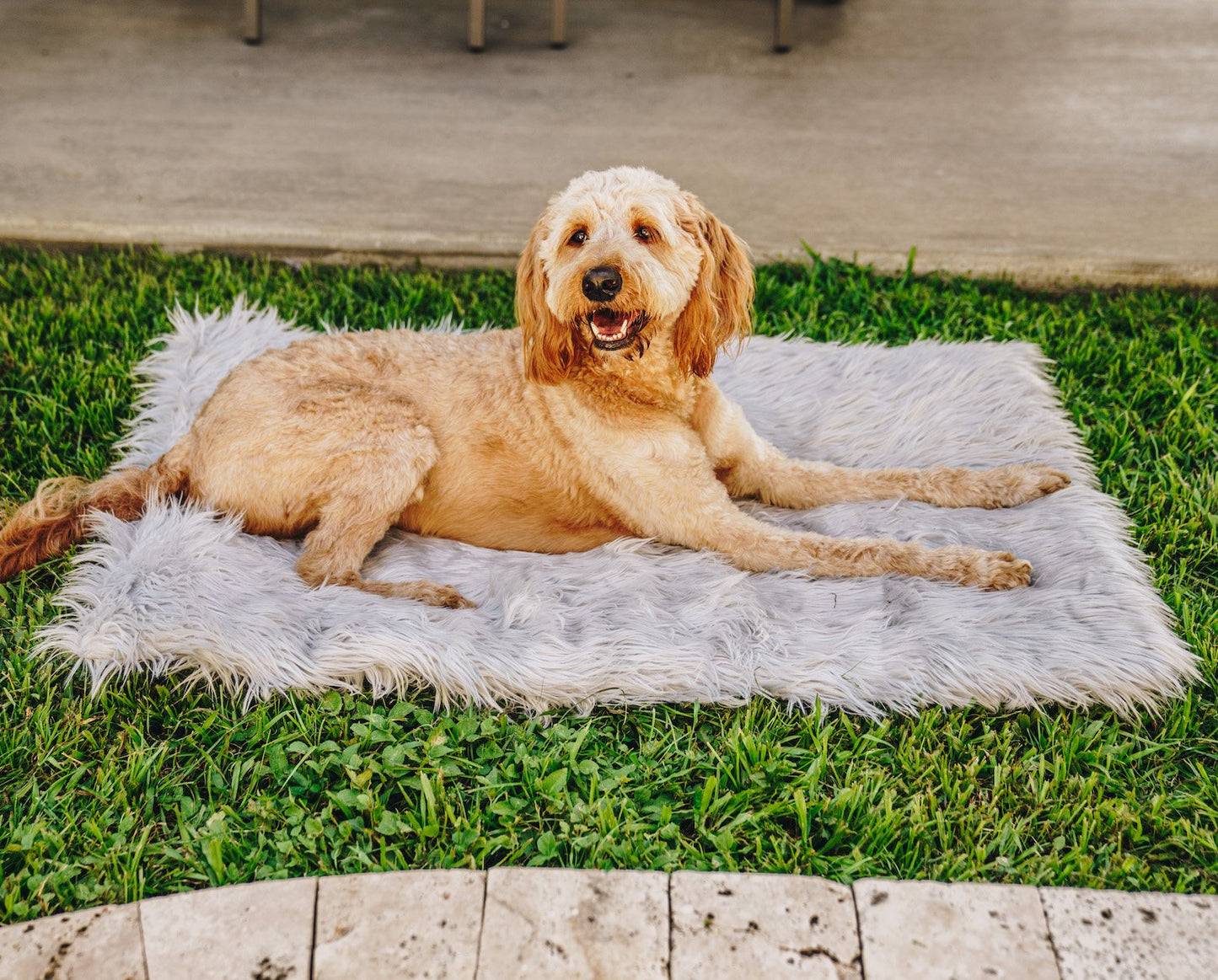 PupRug™ Portable Orthopedic Dog Bed - Grey