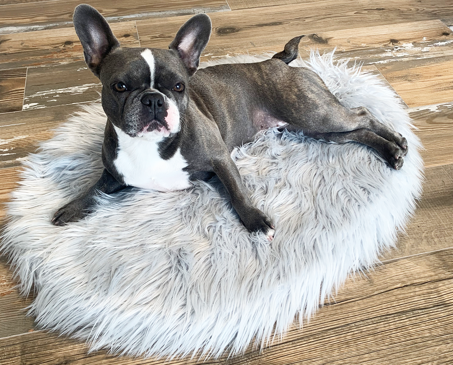 PupRug™ Mini Faux Fur Orthopedic Dog Bed - Grey