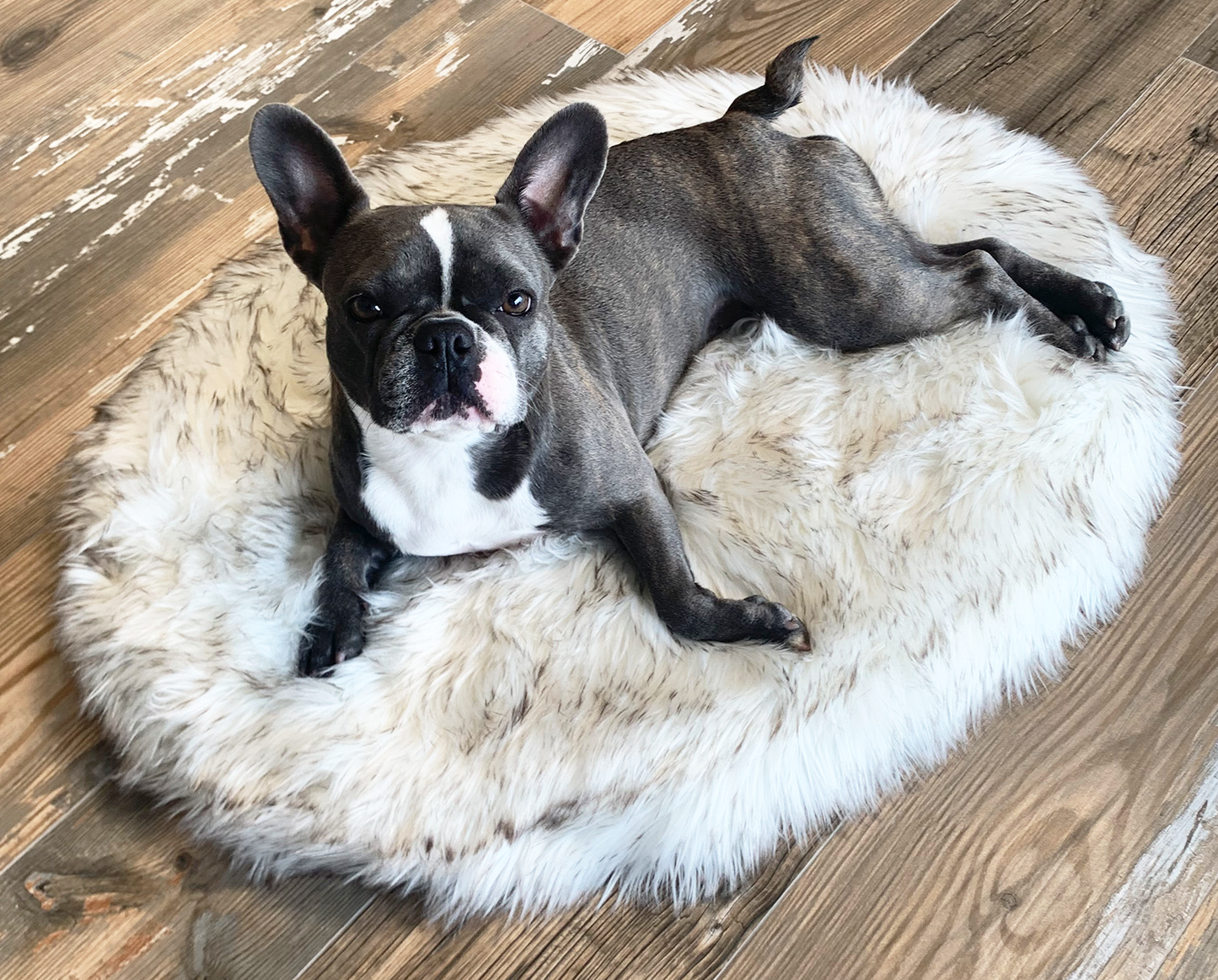 PupRug™ Mini Faux Fur Orthopedic Dog Bed - White