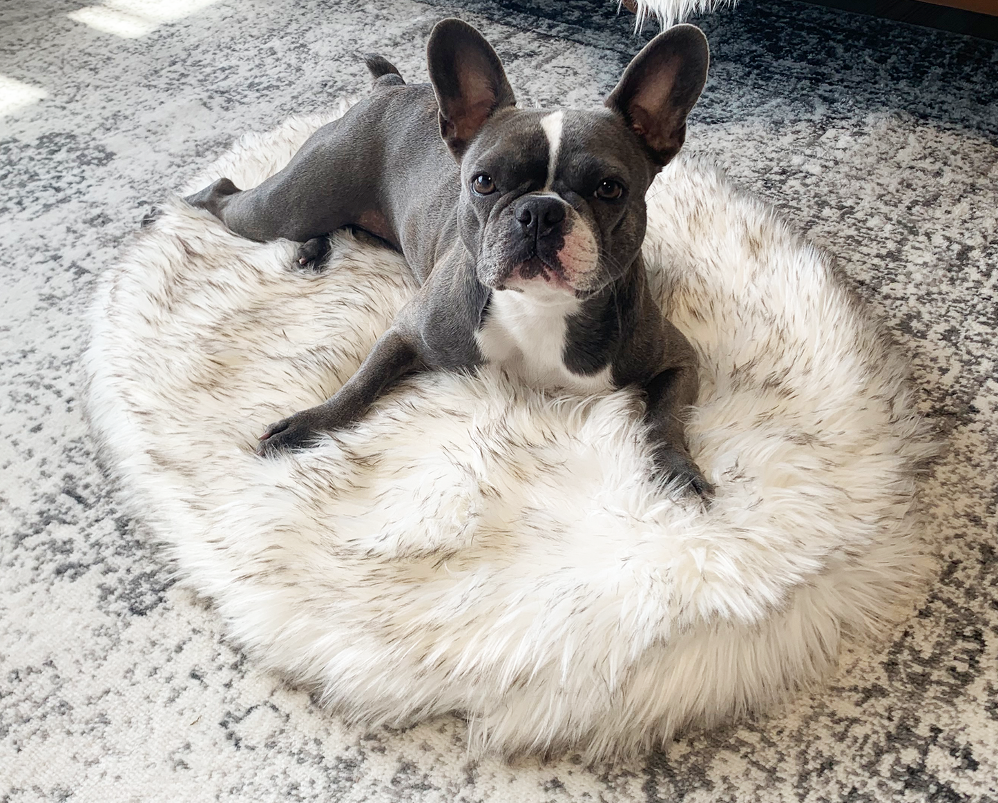 PupRug™ Mini Faux Fur Orthopedic Dog Bed - White
