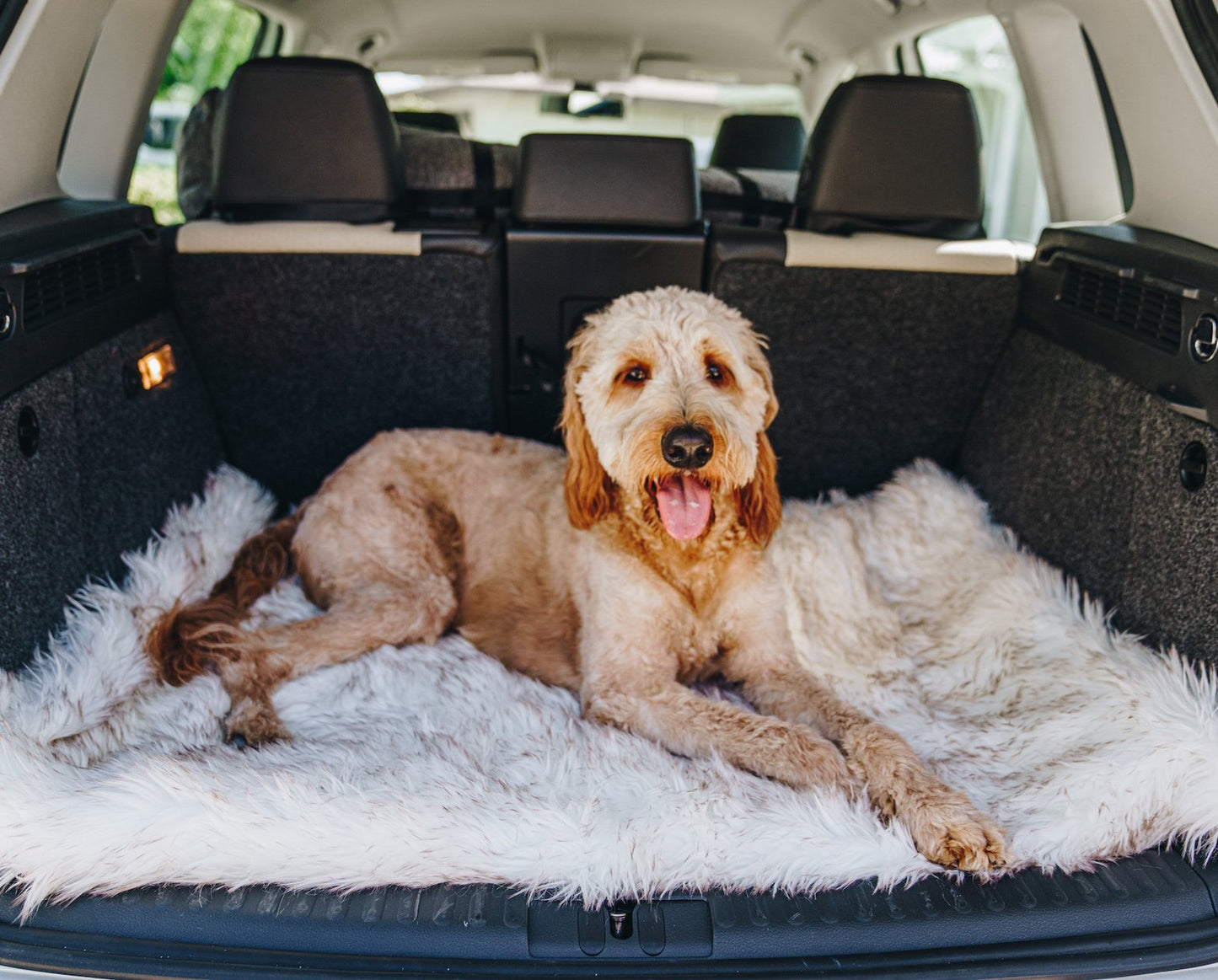 PupRug™ Portable Orthopedic Dog Bed - White