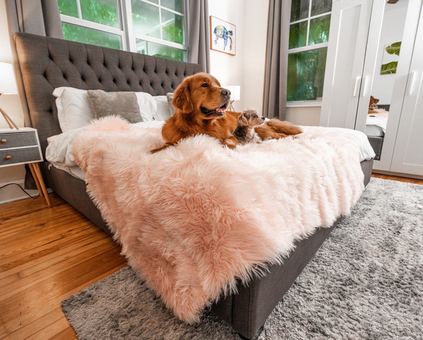 PupProtector™ Waterproof Throw Blanket - Blush Pink