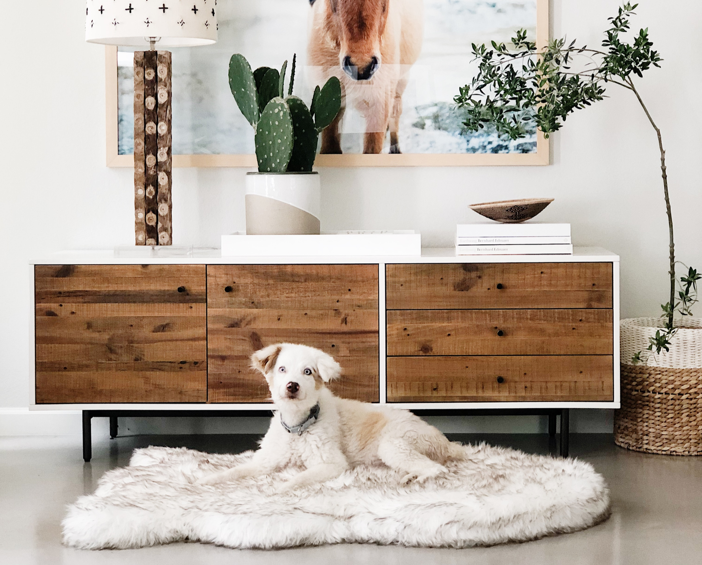PupRug™ Faux Fur Orthopedic Dog Bed - Curve White