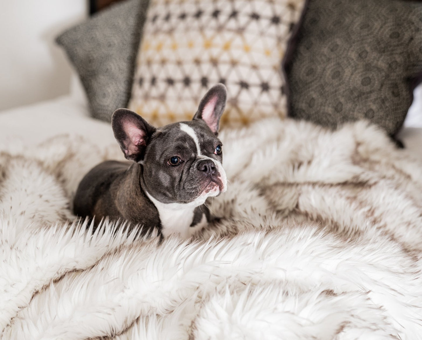 PupProtector™ Waterproof Throw Blanket - White