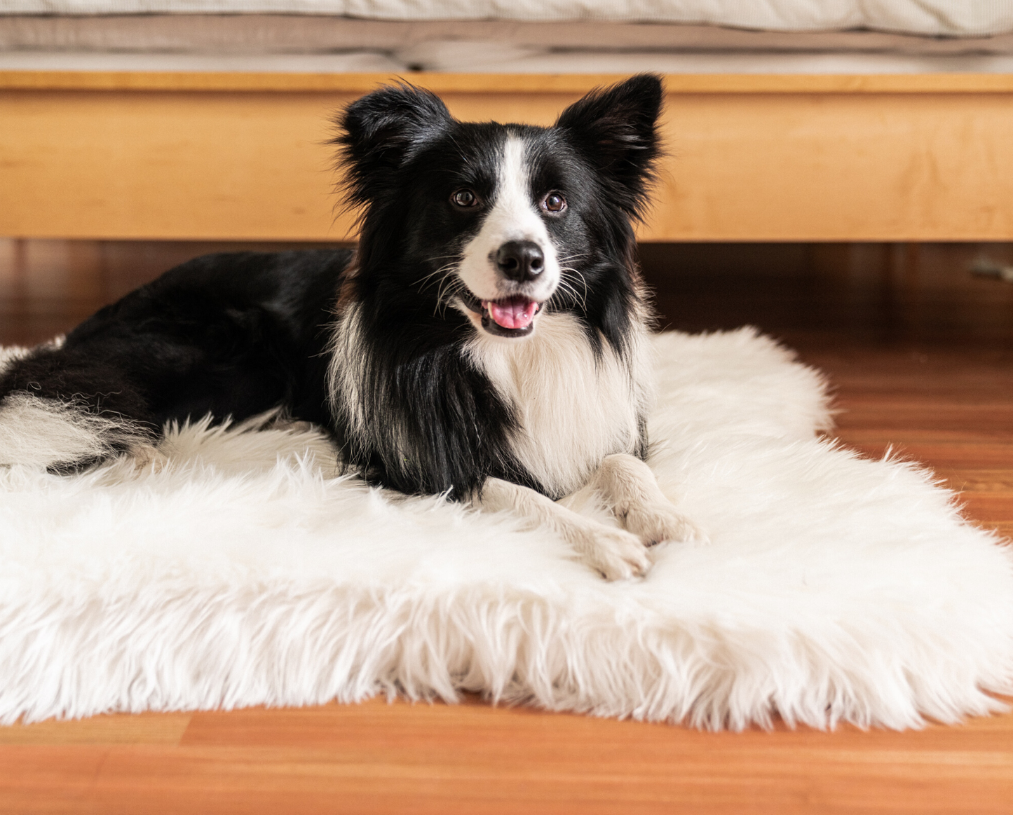 PupRug™ Junior Bundle - Memory Foam Bed, Polar Bear Faux Hide & Matching Waterproof Blanket